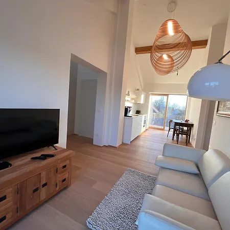 Boris Apartman Starše