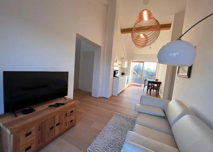 Boris Apartamento Starše